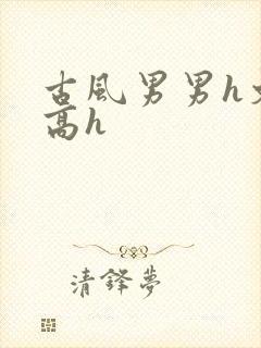 古风男男h文肉高h