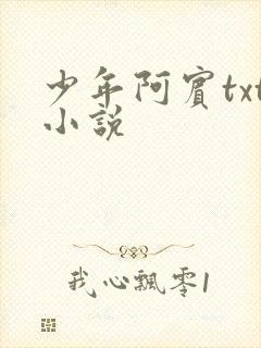 少年阿宾txt小说