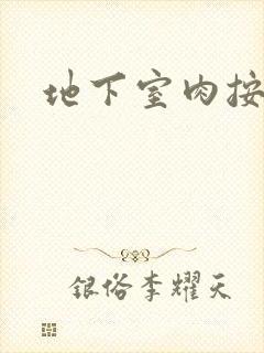 地下室肉按摩椅