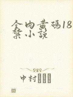 全肉黄码18无禁小说