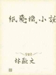 纸飞机小说