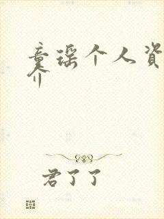 童瑶个人资料简介