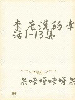 李老汉的幸福生活1-13集