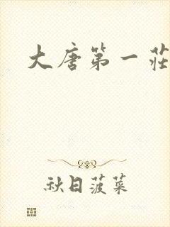 大唐第一庄