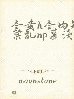 全黄h全肉短篇禁乱np慕浅浅