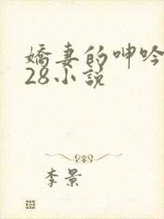 娇妻的呻吟1—28小说