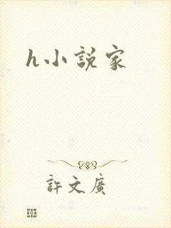 h小说家