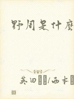 野周是什么意思