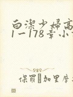 白洁少妇高义第1一178章小说