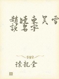 赵晓东吴雪晴小说名字