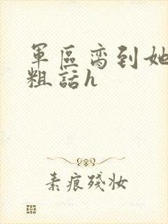 军区脔到她哭h粗话h