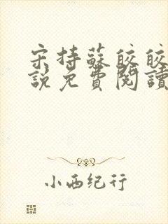 宋持苏皎皎的小说免费阅读