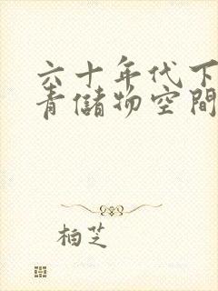 六十年代下乡知青储物空间