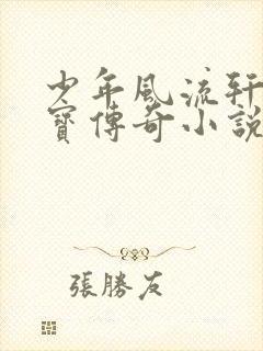 少年风流轩辕大宝传奇小说