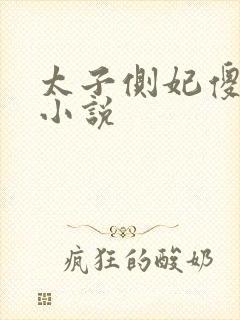 太子侧妃傻乎乎小说