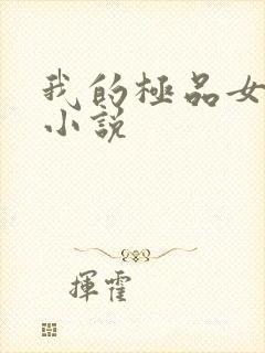 我的极品女老师小说