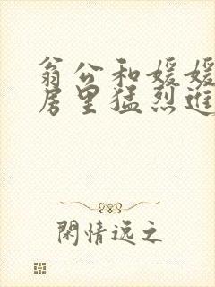 翁公和媛媛在厨房里猛烈进出