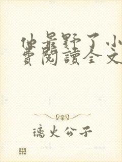 他最野了小说免费阅读全文