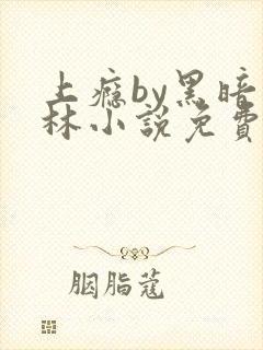 上瘾by黑暗森林小说免费