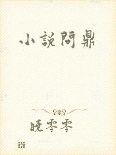 小说问鼎