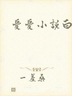 爱爱小说白洁