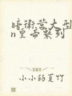 暗卫营大型hpn皇帝系列