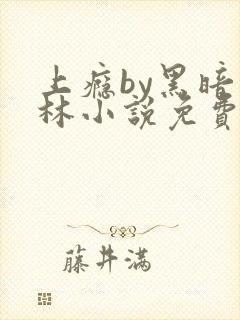 上瘾by黑暗森林小说免费