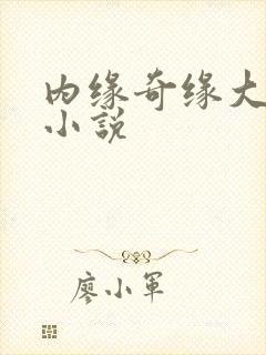 内缘奇缘大团圆小说