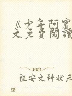 《少年阿宾》全文免费阅读