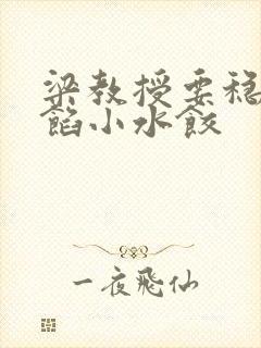 梁教授要稳住肉馅小水饺