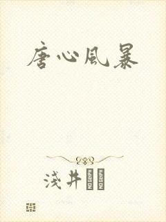 唐心风暴