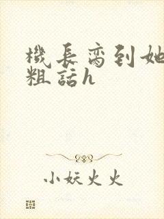 机长脔到她哭h粗话h