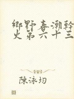 乡野春潮干柴烈火第六十三章