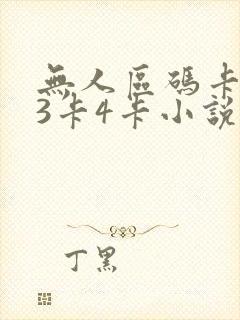 无人区码卡二卡3卡4卡小说