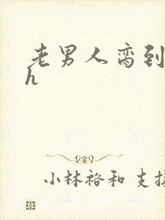 老男人脔到她哭h