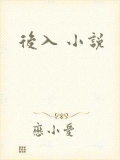 后入 小说