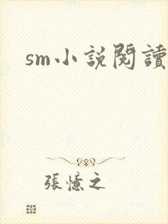 sm小说阅读