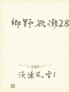 乡野欲潮28章