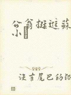 公翁挺进苏玥的小泬