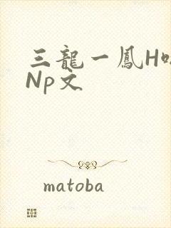 三龙一凤H啪肉Np文