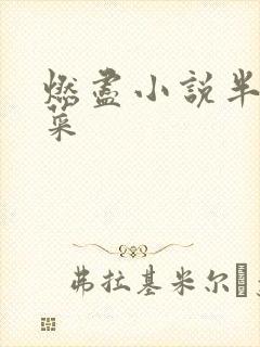 燃尽小说半截白菜