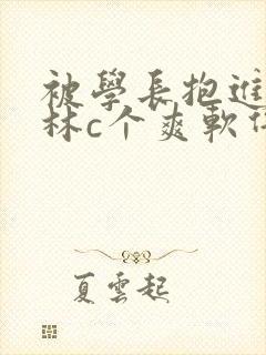 被学长抱进小树林c个爽软件