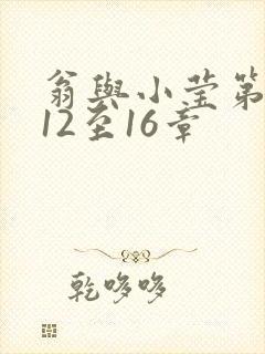 翁与小莹第十部12至16章