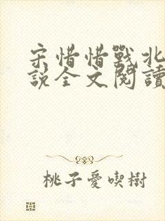 宋惜惜战北望小说全文阅读