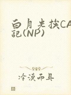 白月光挨CAO记(NP)