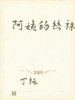 阿姨的丝袜小说