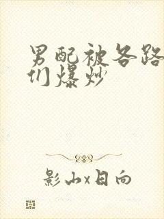 男配被各路大佬们爆炒