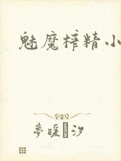 魅魔榨精小说
