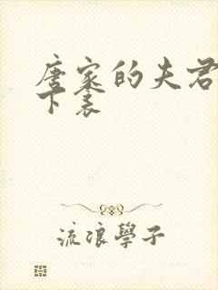 唐家的夫君们帘下衾