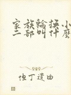 家族轮换小说第二部叫什么名字